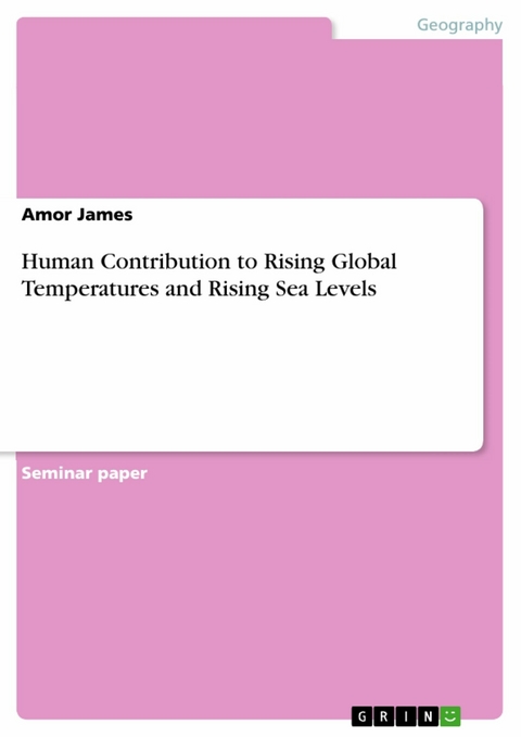 Human Contribution to Rising Global Temperatures and Rising Sea Levels - Amor James