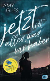 Jetzt ist alles, was wir haben - Amy Giles