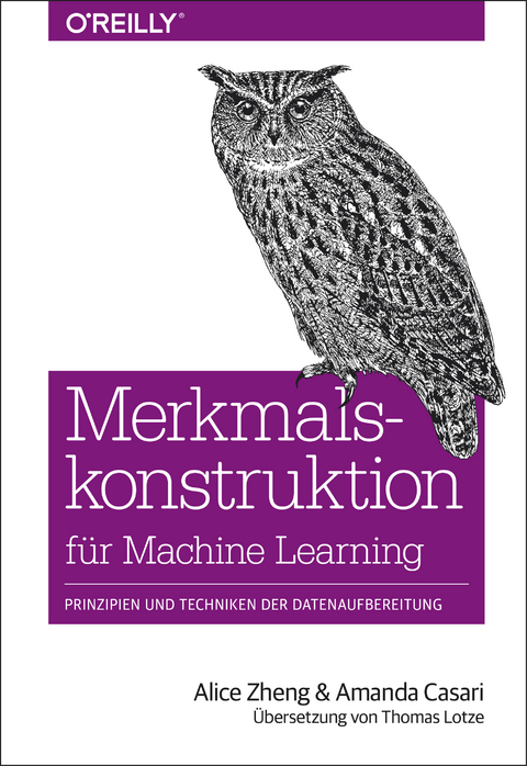 Merkmalskonstruktion für Machine Learning - Alice Zheng, Amanda Casari