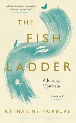 Fish Ladder -  Katharine Norbury