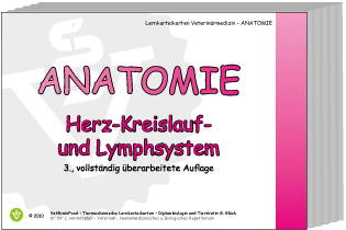 Anatomie: Herz-Kreislauf-System und Lymphsystem - Gabriele Glück