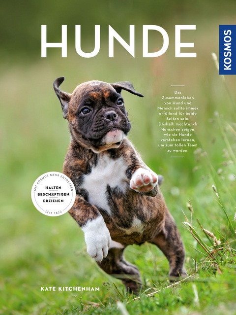 Hunde - Kate Kitchenham