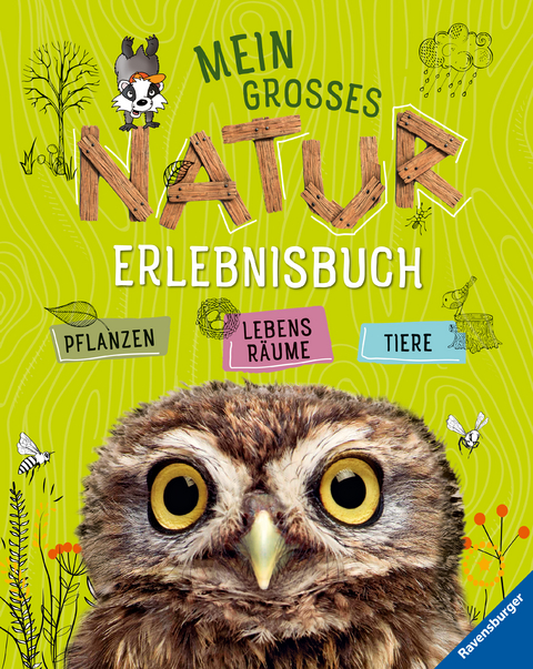 Mein großes Natur-Erlebnisbuch - Angelika Lenz