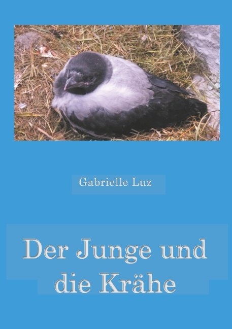 Der Junge und die Krähe - Gabrielle Luz