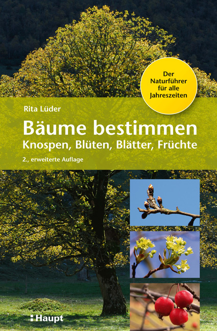 Bäume bestimmen - Knospen, Blüten, Blätter, Früchte - Rita Lüder