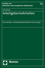 Arbeitgebermehrheiten - Julia Christina König