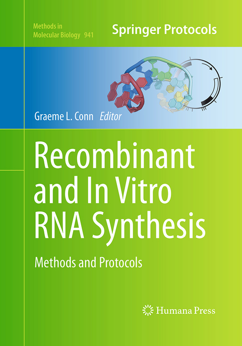 Recombinant and In Vitro RNA Synthesis - 