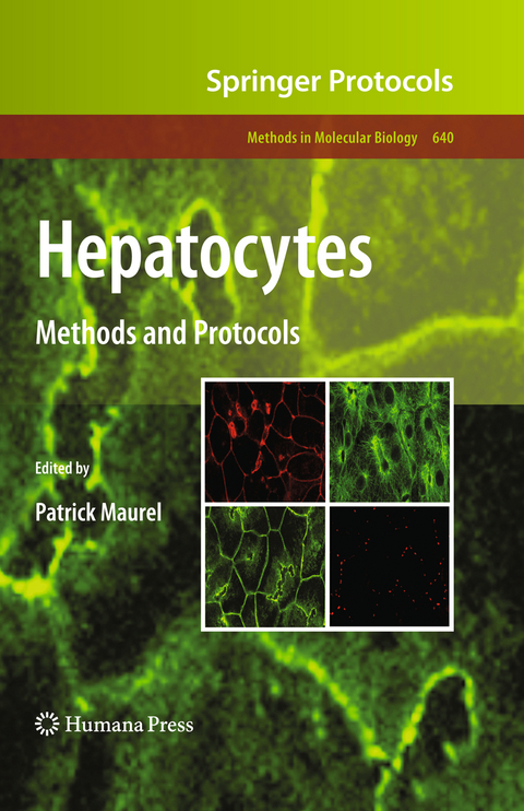 Hepatocytes - 