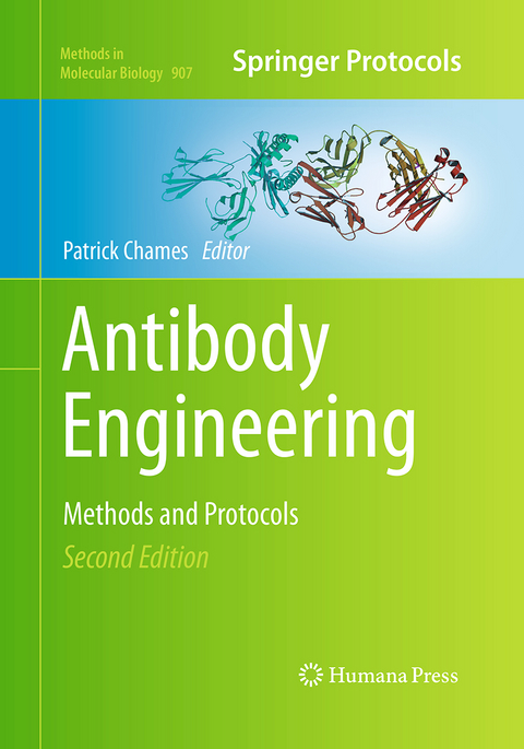 Antibody Engineering - 