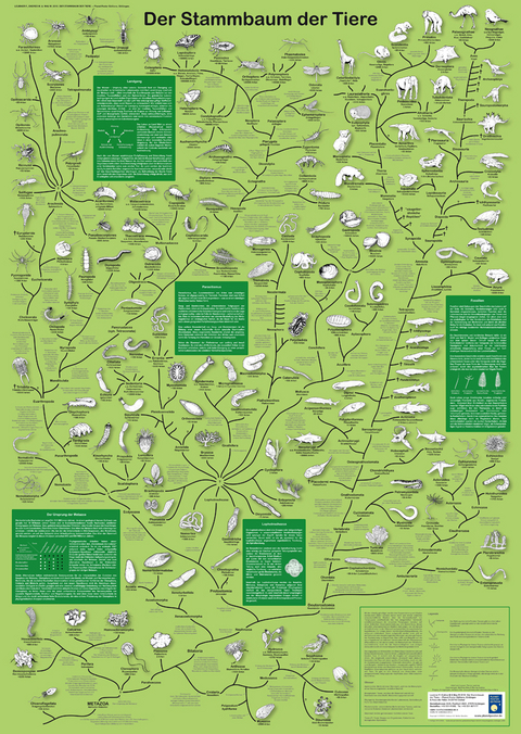 Der Stammbaum der Tiere - Fanny Leubner, Monika Endres, Matthias Mau
