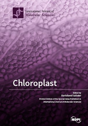 Chloroplast