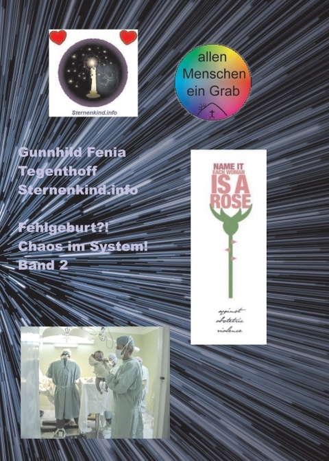 Fehlgeburt? Chaos im System! Band 2 - Gunnhild Fenia Tegenthoff Sternenkind.info