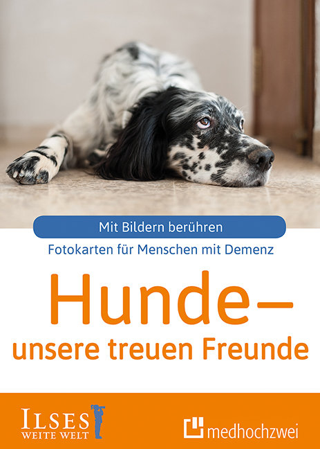 Hunde – unsere treuen Freunde - Sophie Rosentreter