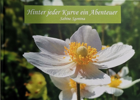 Hinter jeder Kurve ein Abenteuer - Sabine Sgonina