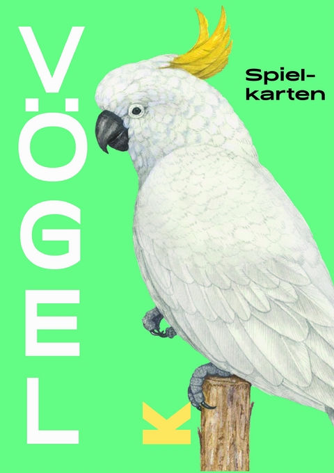 Vögel