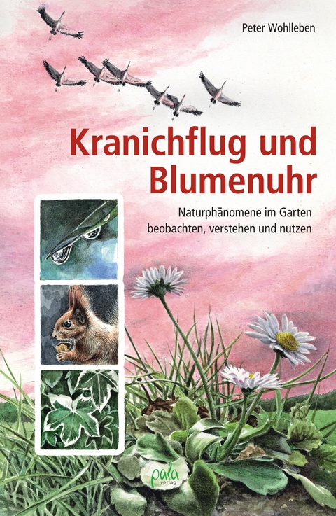 Kranichflug und Blumenuhr - Peter Wohlleben