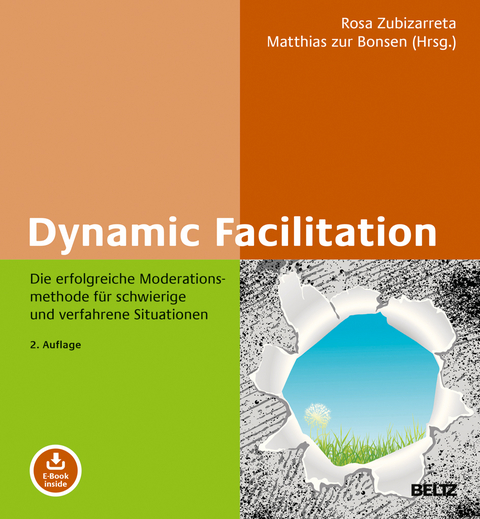 Dynamic Facilitation - Rosa Zubizarreta