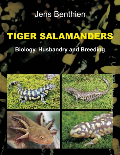 Tiger Salamanders - Jens Benthien