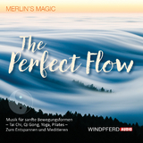 The Perfect Flow - 