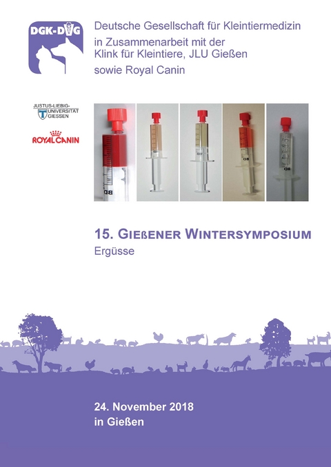 15. Gießener Wintersymposium, Thema: Ergüsse