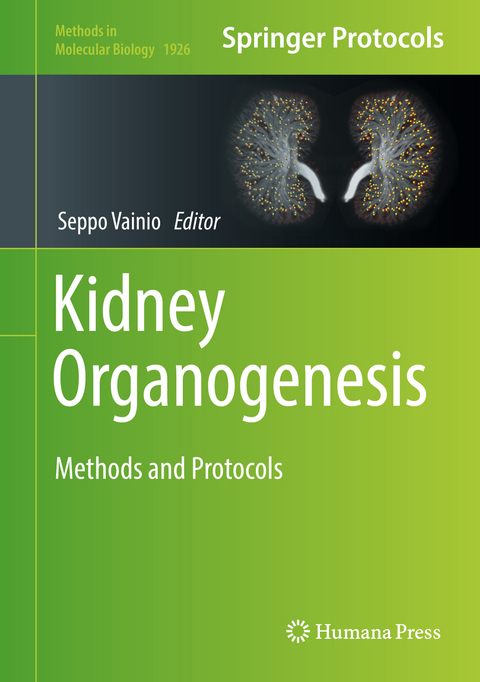 Kidney Organogenesis - 