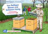 Von fleißigen Bienen und leckerem Honig. Kamishibai Bildkartenset - Lydia Hauenschild