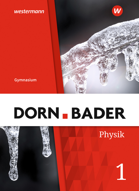 Dorn / Bader Physik SI - Allgemeine Ausgabe 2019 - 