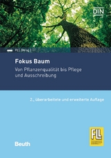 Fokus Baum