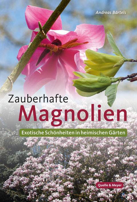 Zauberhafte Magnolien - Andreas Bärtels