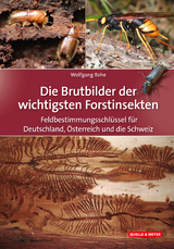 Die Brutbilder der wichtigsten Forstinsekten - Wolfgang Rohe