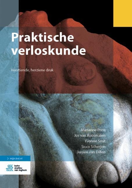 Praktische Verloskunde - Marianne Prins, Jos Van Roosmalen, Yvonne Smit, Sicco Scherjon, Jeroen van Dillen