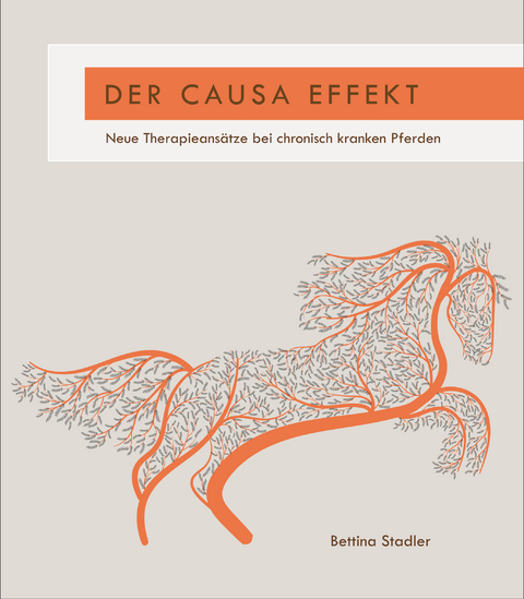 Der Causa Effekt - Bettina Stadler