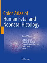 Color Atlas of Human Fetal and Neonatal Histology - Ernst, Linda M.; Ruchelli, Eduardo D.; Carreon, Chrystalle Katte; Huff, Dale S.