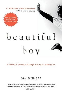 Beautiful Boy - David Sheff