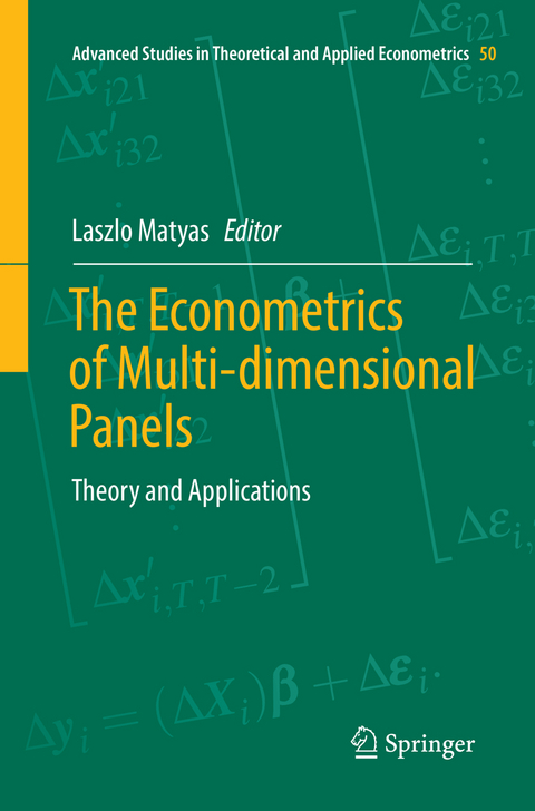 The Econometrics of Multi-dimensional Panels - 