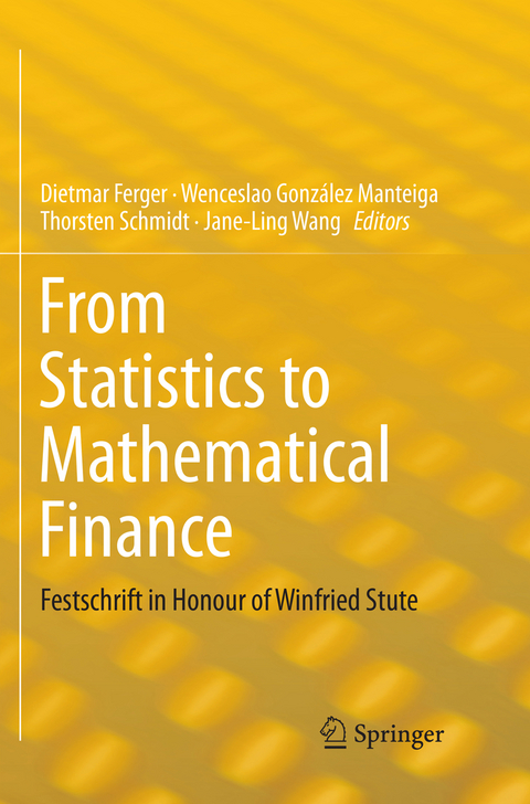 From Statistics to Mathematical Finance - 