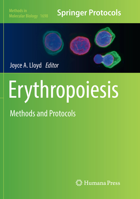 Erythropoiesis - 