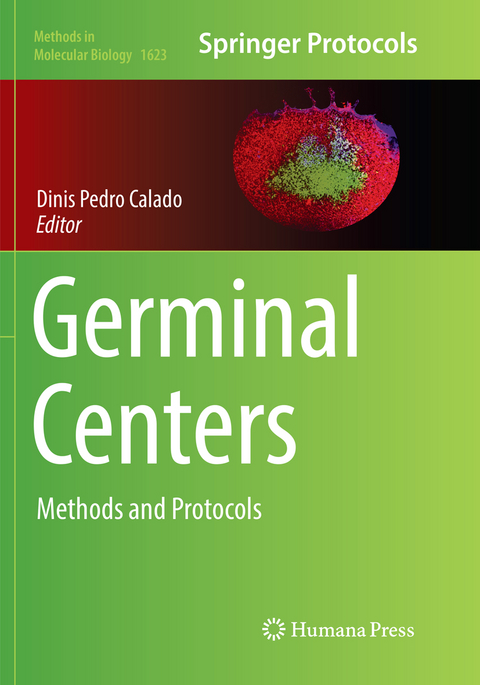 Germinal Centers - 