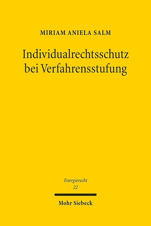 Individualrechtsschutz bei Verfahrensstufung - Miriam Aniela Salm