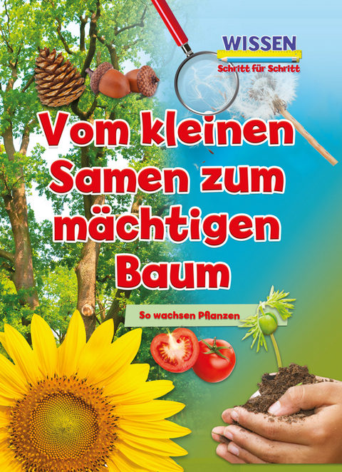 Vom kleinen Samen zum mÃ¤chtigen Baum - Ruth Owen