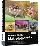 Extreme Wildlife-Makrofotografie - Alexander Mett