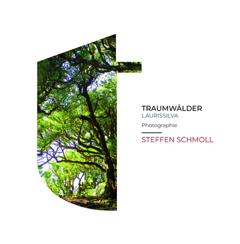 Traumwälder - Laurissilva - Steffen Schmoll