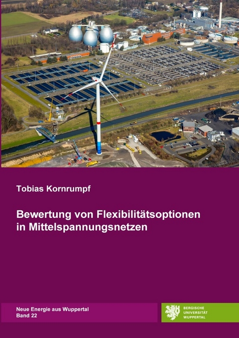 Neue Energie aus Wuppertal / Bewertung von Flexibilitätsoptionen in Mittelspannungsnetzen - Tobias Kornrumpf