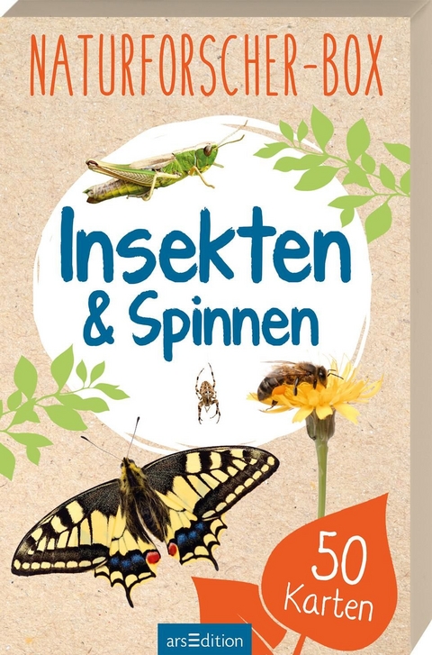 Naturforscher-Box - Insekten & Spinnen - Miriam Scholz