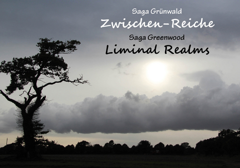 Zwischen-Reiche/Liminal Realms - Saga Grünwald