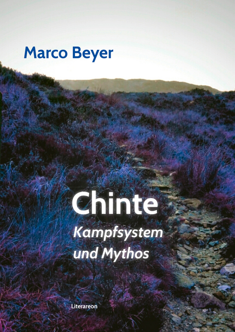 Chinte - Marco Beyer