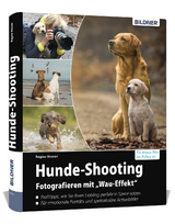 Hunde-Shooting - Fotografieren mit „Wau-Effekt“ - Heuser Regine