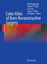 Color Atlas of Burn Reconstructive Surgery - 