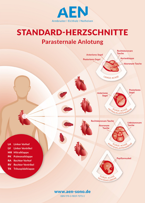 Standard-Herzschnitte Echokardiografie, Poster - 