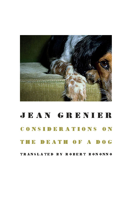 Considerations on the Death of a Dog -  Jean Grenier